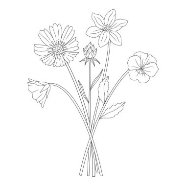 Kozmos ve nonoşlarla dolu kır çiçeği buketi. Çayır çiçekleri, yabani bitkiler. Çizgi sanatı, asgari tarz, dış hatlar. Tasarım projeleri için botanik el yapımı elementler. Vektör illüstrasyonu