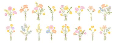 Bir dizi narin çiçek buketi. Kurdelelerle bağlanmış kır çiçekleri. Çayır bitkilerinin vektör illüstrasyonu ve tasarım projeleri için yabani bitkiler