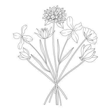 Yaban çiçeği buketi, soya ekmeği, farklı çayır çiçekleri ve çiçek açan yabani bitkiler. Çizgi sanatı, asgari tarz, dış hatlar. Boyama ve tasarım projeleri için botanik el yapımı elementler. Vektör illüstrasyonu