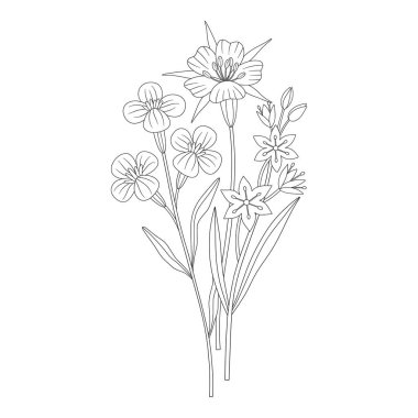 Gagea 'lı kır çiçeği buketi, farklı çayır çiçekleri ve çiçek açan yabani bitkiler. Çizgi sanatı, asgari tarz, dış hatlar. Tasarım projeleri için botanik el yapımı elementler. Vektör illüstrasyonu