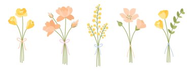 Yaban çiçeği buketleri seti. Haşhaş çiçekleri ve mimoza çiçekleri. Kurdelelerle bağlanmış çiçekler, vektör illüstrasyonu. Tasarım projeleri için çayır otları ve yabani bitkiler