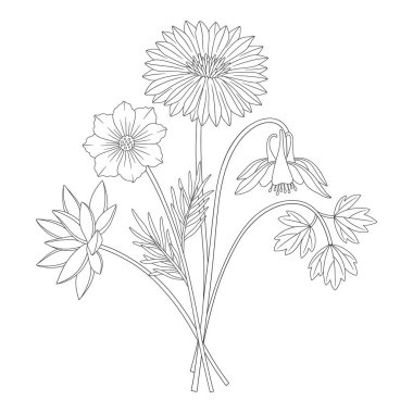 Yıldız çiçekli buket, kozmos, aquilegia, columbine. Çayır çiçekleri ve yabani bitkiler. Çizgi sanatı, asgari tarz, dış hatlar. Tasarım projeleri için botanik el yapımı elementler. Vektör illüstrasyonu