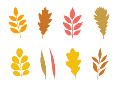 Sonbahar yaprakları. Sonbahar arkaplanı, meşe, akasya, kül ve söğüt yaprakları kırmızı, turuncu, sarı, yeşil renklerde. Vektör illüstrasyonu