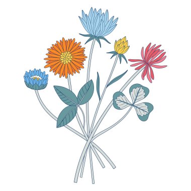Farklı kır çiçeklerinden parlak bir buket. Yoncalı farklı çayır çiçekleri ve tomurcuklanan yabani bitkiler. Tasarım projeleri için botanik el yapımı elementler. Vektör illüstrasyonu