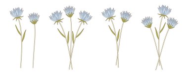 Yapraklı mavi çiçek buketleri. Çiçek açan kır çiçekleri, uzun yıllardır süren yabani bitkiler. Tasarım projeleri için botanik el yapımı elementler. Vektör illüstrasyonu