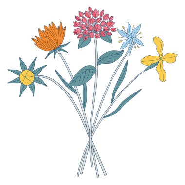 Parlak kır çiçekleri. Matthiola ve kardelenli çayır çiçekleri, yabani bitkiler, bitkiler. Tasarım projeleri için botanik el yapımı elementler. Vektör illüstrasyonu