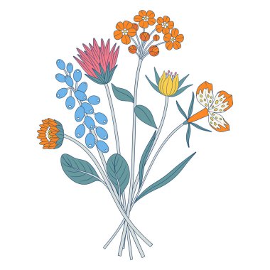 Parlak kır çiçekleri. Bir sürü farklı çayır çiçeği ve otlar. Tasarım projeleri için botanik el yapımı elementler. Vektör illüstrasyonu