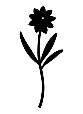 Sepal ve yapraklı yabani çiçek tomurcuğu, siyah renkli siluet. Çiçek açan yabani bitki koreopsi, çayır çiçeği şeklinde. Tasarım projeleri için botanik elementler. Ayrıntılı çiçek vektör illüstrasyonu