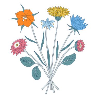 Parlak kır çiçekleri. Bir demet çayırlık çiçek, kartanesi, knapweed, yabani bitkiler, otlar. Tasarım projeleri için botanik el yapımı elementler. Vektör illüstrasyonu