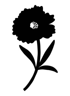 Vahşi çiçek silueti. Çiçek açan yabani bitkiler, siyah renkli çayır çiçekleri, ayrıntılı şekiller. Botanik element, çiçek vektör illüstrasyonu