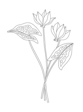 Yapraklı iki siklamen çiçeği buketi. Bir avuç bitkisel hayatta kalmış yabani bitki. Çizgi sanatı, asgari tarz, dış hatlar. Tasarım projeleri için botanik el yapımı elementler. Vektör illüstrasyonu