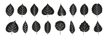 Beyaz arka planda izole edilmiş, basit sonbahar kara yaprakları. Dokulu yaprak silueti simgeleri arasında kavak, kızılağaç, ıhlamur, ıhlamur, huş ağacı ve diğerleri yer alıyor. Vektör illüstrasyonu