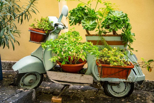 意大利坎帕尼亚那不勒斯市 一辆经典的Vespa摩托车停在一棵树旁 车上有一篮鲜花 — 图库照片