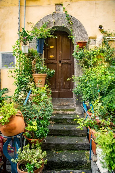 Vakre Gamle Tredør Dekorert Med Blomster Byen Napoli Italia – stockfoto