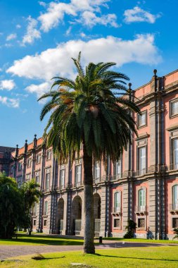 Capodimonte Müzesi. Napoli 'de büyük bir Bourbon sarayı olan Capodimonte Sarayı' nda bir sanat müzesi bulunmaktadır..