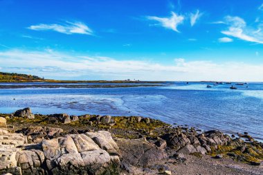 Porpoise Burnu, Maine USA 'deki sonbahar sahili manzarası.