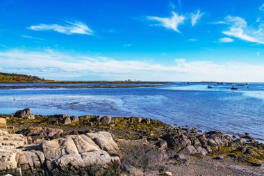 Porpoise Burnu, Maine USA 'deki sonbahar sahili manzarası.