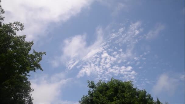 Zwevende Pluizige Wolken Mooie Zonnige Blauwe Lucht Met Wispy Rokerige Videoclip