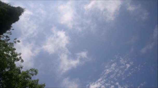 Zwevende Pluizige Wolken Mooie Zonnige Blauwe Lucht Met Wispy Rokerige Rechtenvrije Stockvideo's