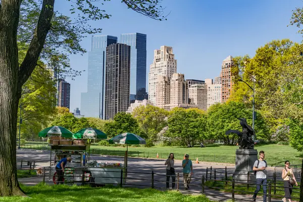 New York City, ABD - 29 Nisan 2024: Manhattan gökdelenleri ve Central Park çayırı, New York. ABD