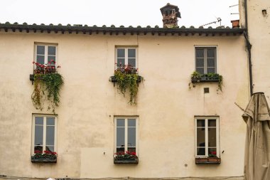 Lucca, İtalya - Lucca İtalya 'nın kalbi Piazza dell Anfiteatro' nun ön cephesi