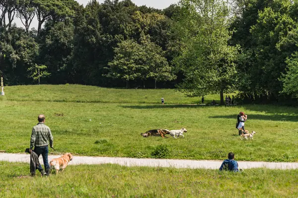 stock image Naples, Italy - May 3, 2015: People enjoy and play sport in the Forest in Capodimonte Park, Naples Italy