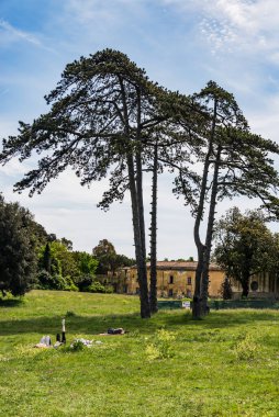 Napoli, İtalya - 3 Mayıs 2015: İnsanlar Capodimonte Park, Napoli İtalya 'daki Orman' da spor yapıyor ve eğleniyorlar