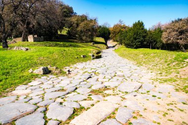 İlk antik Yunan kolonisi Cuma 'nın arkeolojik kenti Napoli yakınlarındaki İtalyan Yarımadası. İtalya