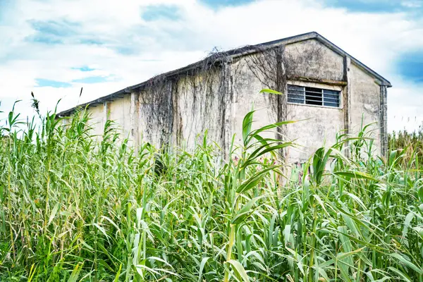 Napoli yakınlarındaki güzel Miseno Gölü üzerindeki terk edilmiş Cinque Lenze sanayi bölgesi, İtalya, Campania, Bacoli