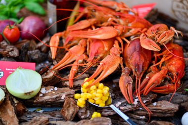 Lezzetli büyük kaynamış kerevit, yakından.