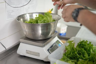 Erkek aşçı mutfakta salatayı ölçüyor.