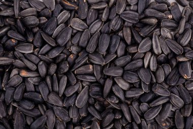 ayçiçeği tohumlarının arka planı. Kapat - kapat
