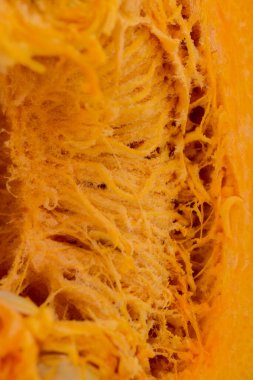 Çekirdekli kabağı kapat