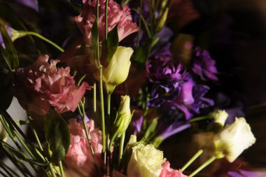 Arka planda renkli bir östoma çiçeği buketi