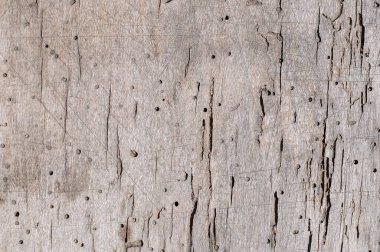 Termit tahtasına zarar vermiş. 