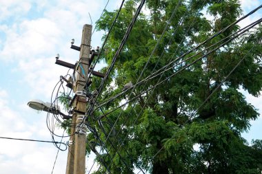 yüksek voltajlı elektrik direği ve yeşil ağaç 