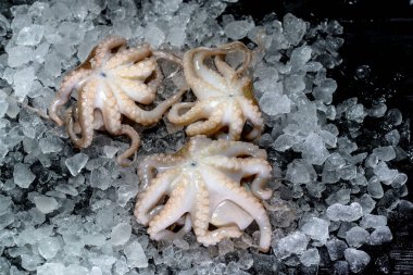 Pazarda buzlu taze ahtapot