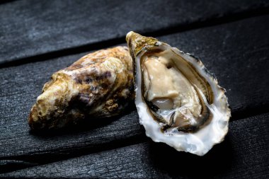 Karanlık bir arka planda istiridye.