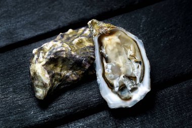 Karanlık bir arka planda istiridye.