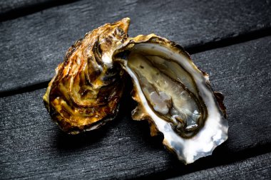 Karanlık bir arka planda istiridye.