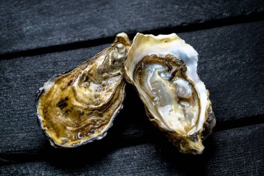 Karanlık bir arka planda istiridye.