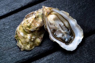 Karanlık bir arka planda istiridye.