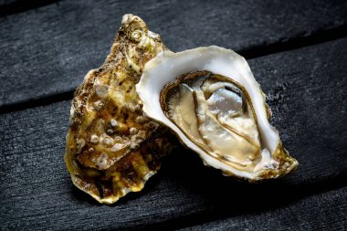 Karanlık bir arka planda istiridye.