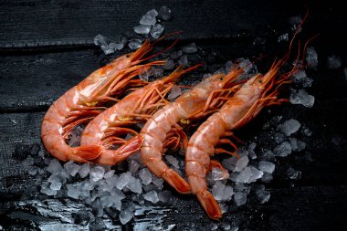 Siyah arka planda taze karidesler