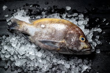 Siyah taş masada taze çiğ deniz levreği..