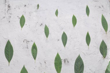 Beyaz mermer üzerinde yeşil yapraklardan oluşan basit desen
