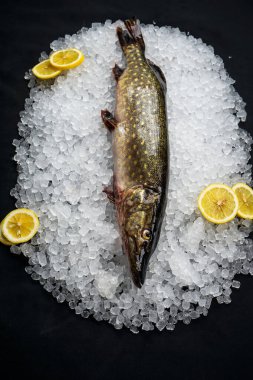 Çiğ turna balığı buzlu ve limonlu siyah masada.