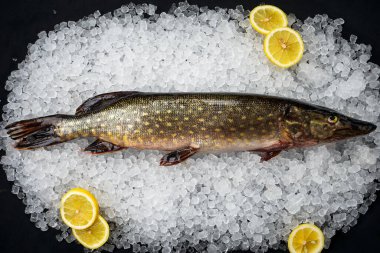 Çiğ turna balığı buzlu ve limonlu siyah masada.