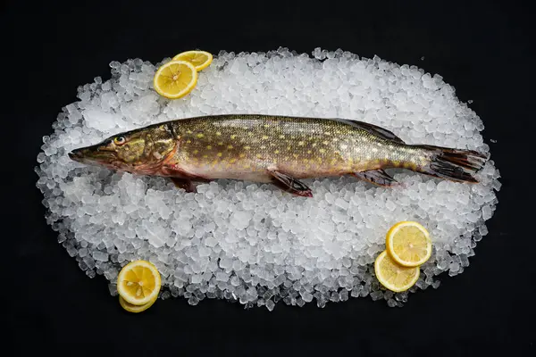 Çiğ turna balığı buzlu ve limonlu siyah masada.
