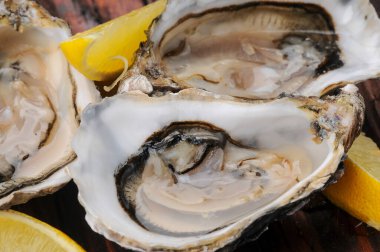 Bir dilim limonla servis edilen, kabuğunda taze, çiğ bir istiridye..